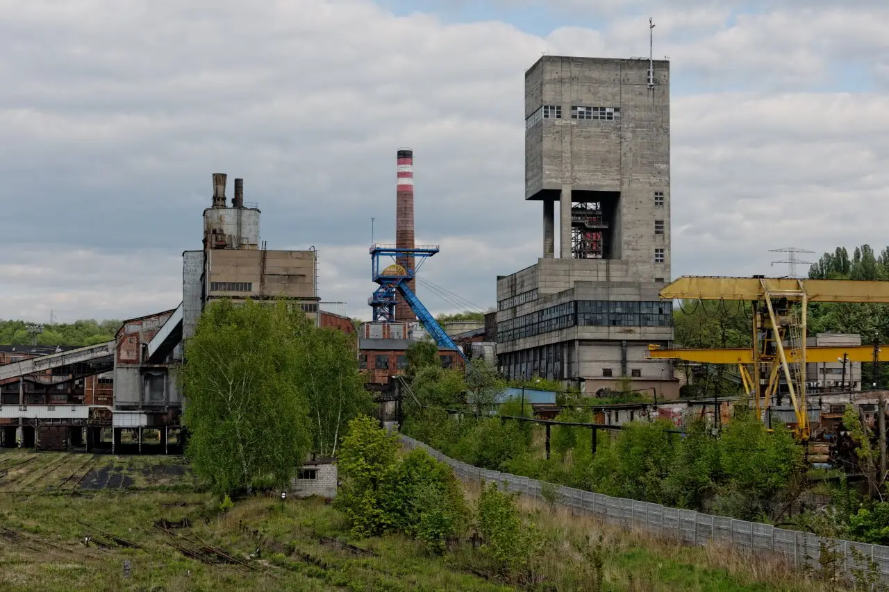 Szynk w Pszowie (Esencja i Smak) - Pszów